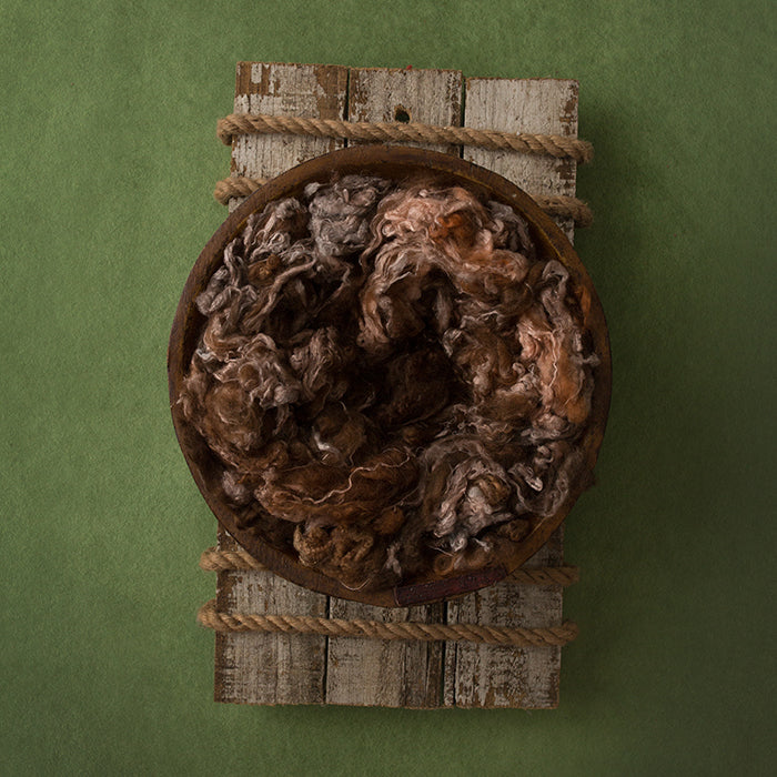 Primitive | Willow Coll. | Digital - HSD Photography Backdrops