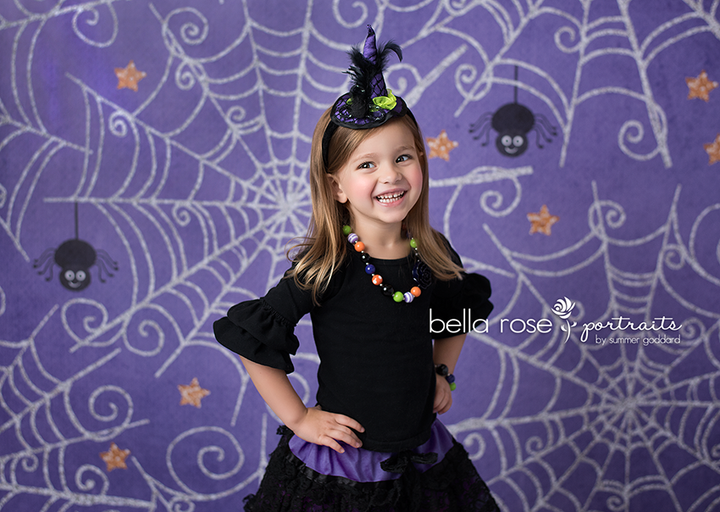 Caught in My Web Purple - HSD Photography Backdrops