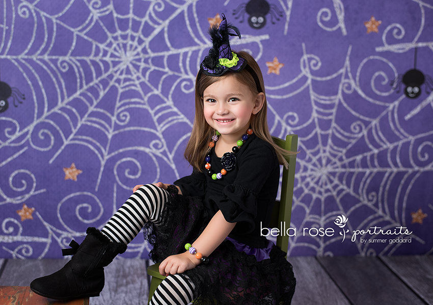 Caught in My Web Purple - HSD Photography Backdrops