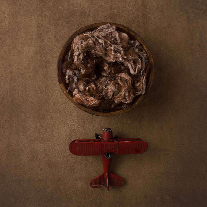 Red Airplane | Oh Boy! Coll. | Digital - HSD Photography Backdrops