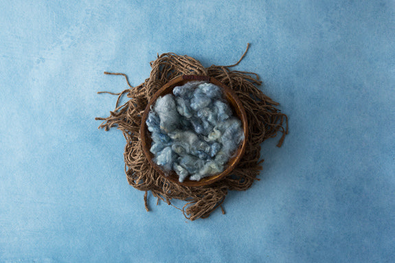 Little Hatchling | Robins Egg Coll. | Digital - HSD Photography Backdrops 