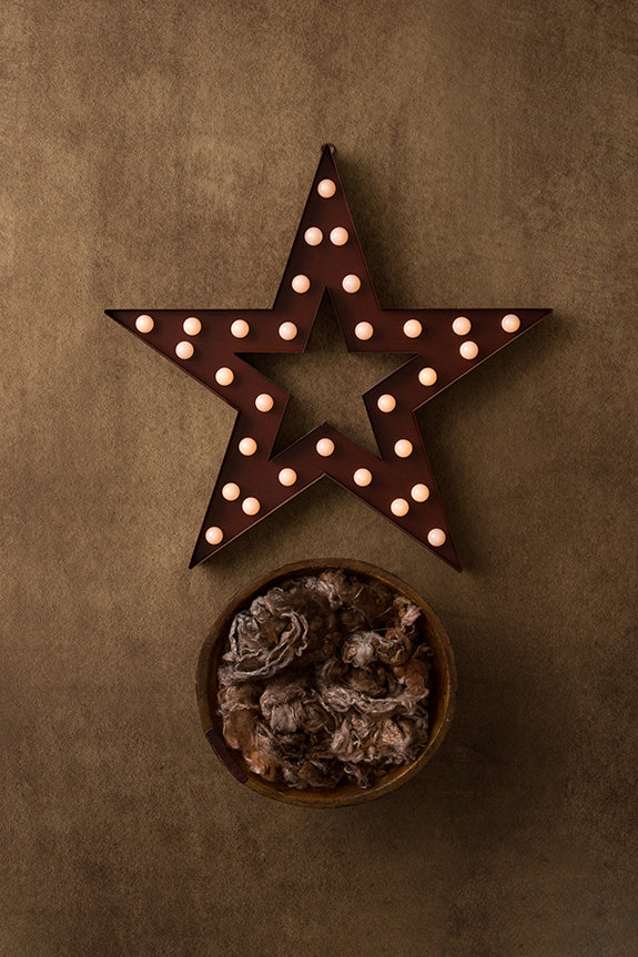 Rustic Star Collection | Digital - HSD Photography Backdrops