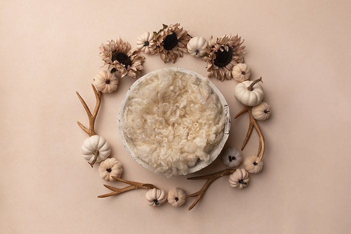 Rustic Fall | Newborn Digital Backdrop - HSD Photography Backdrops