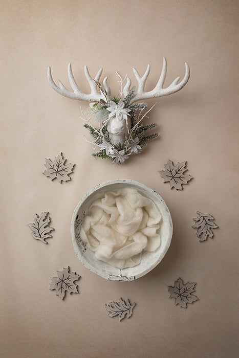 Rustic Wonderland | Rustic Chic Winter Coll. | Digital - HSD Photography Backdrops