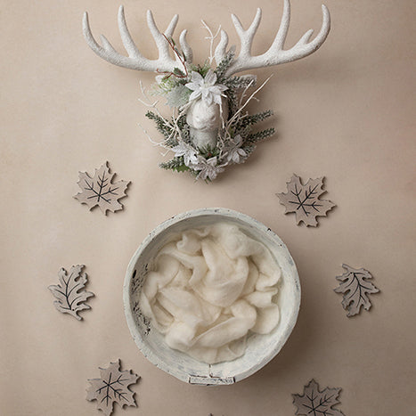 Rustic Wonderland | Rustic Chic Winter Coll. | Digital - HSD Photography Backdrops