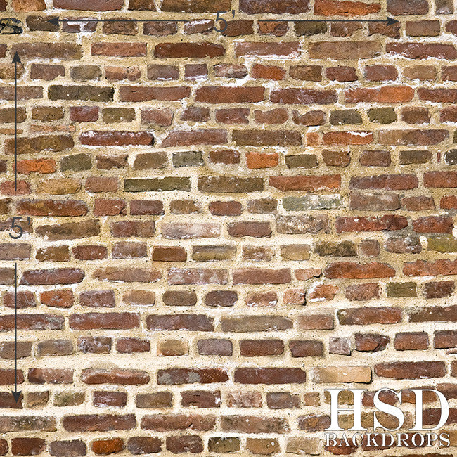 Old Brick Wall - HSD Photography Backdrops