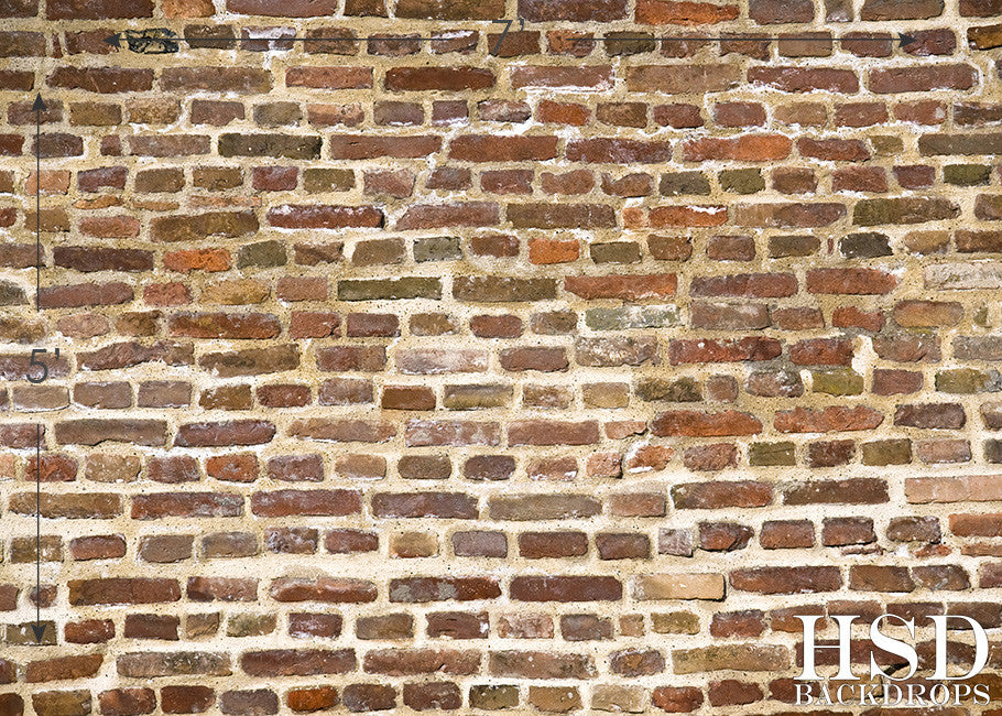 Old Brick Wall - HSD Photography Backdrops
