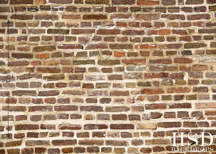 Old Brick Wall - HSD Photography Backdrops