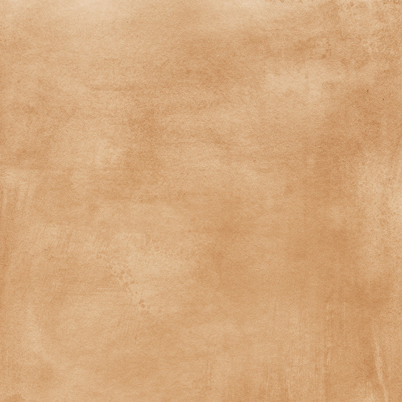 Oatmeal - HSD Photography Backdrops