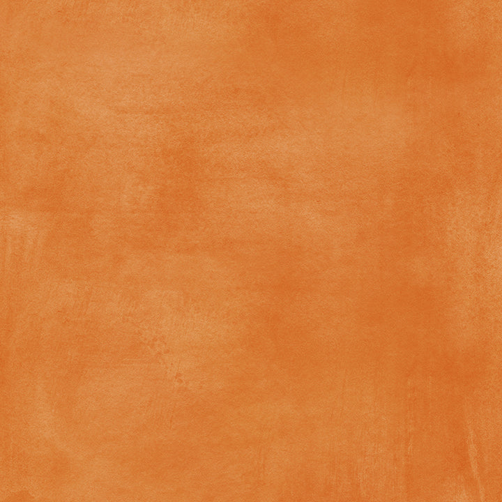 Orange Spice - HSD Photography Backdrops
