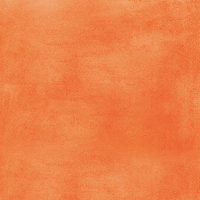 Summer Citrus - HSD Photography Backdrops
