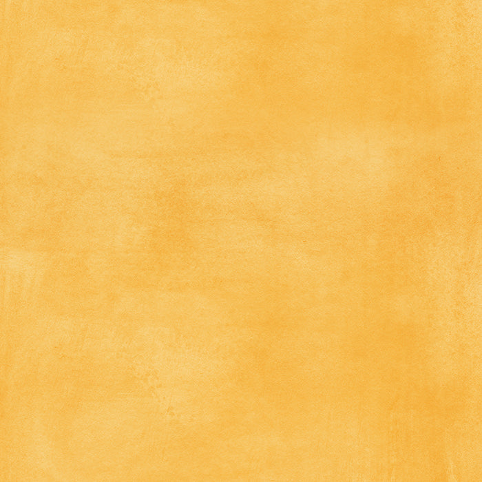 Sundance - HSD Photography Backdrops