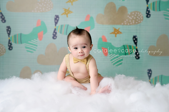 Clouds & Airplanes - HSD Photography Backdrops