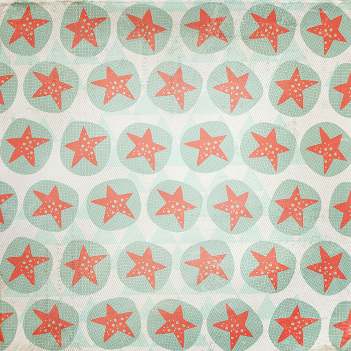 Little Star - HSD Photography Backdrops