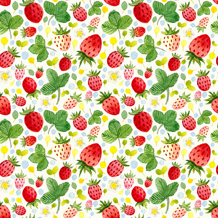 Photography Backdrop Background | Strawberry Shortcake - HSD Photography Backdrops