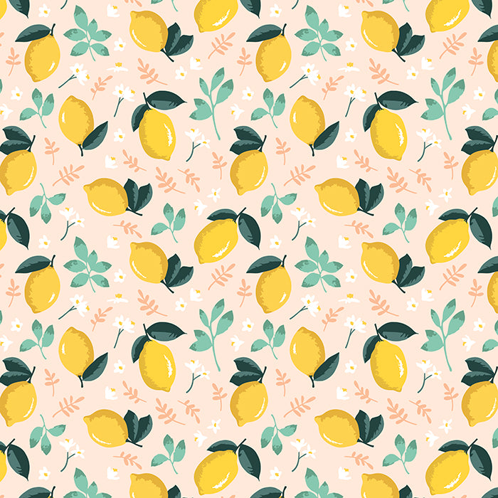 Citrus & Mint - HSD Photography Backdrops