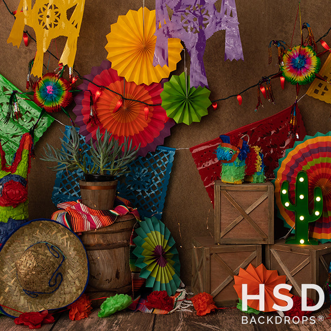 Fiesta Time - HSD Photography Backdrops