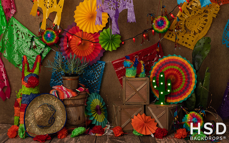 Fiesta Time - HSD Photography Backdrops