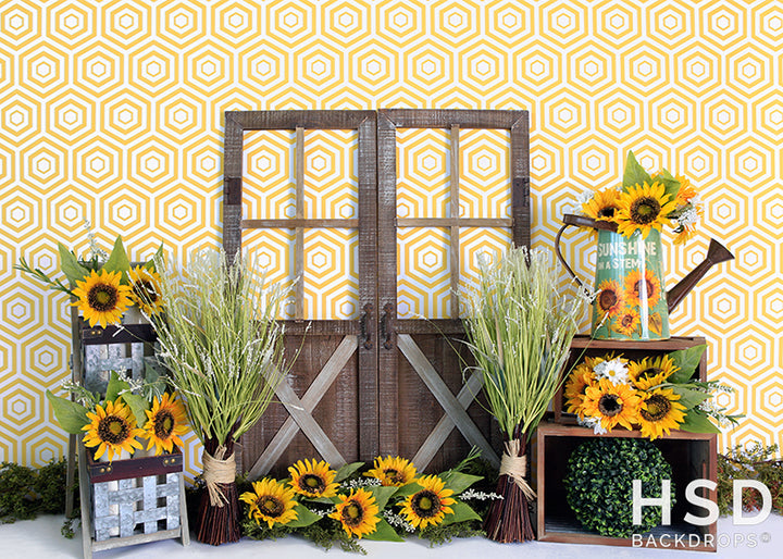 Sunflower Set Up - HSD Photography Backdrops