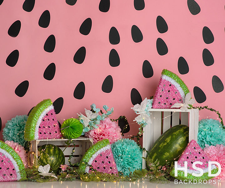 Watermelon Party - HSD Photography Backdrops