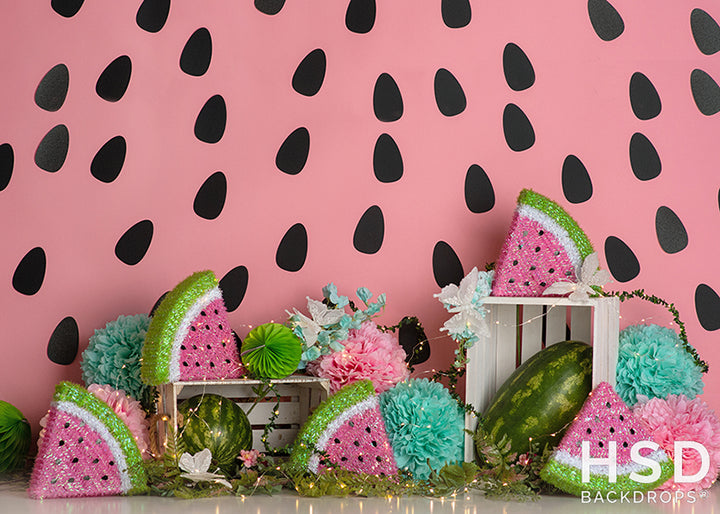 Watermelon Party - HSD Photography Backdrops