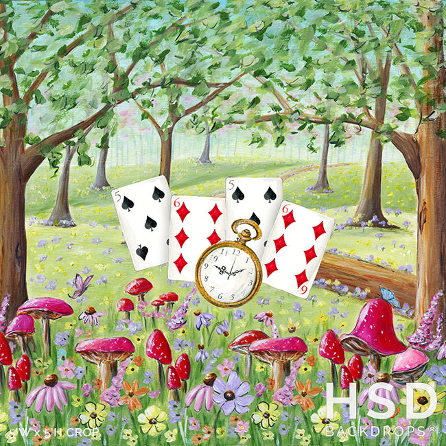 Alice - HSD Photography Backdrops