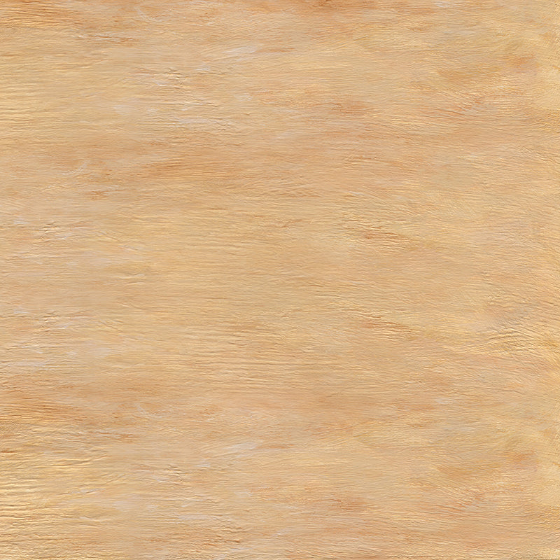 Ice Cream Truck Floor - HSD Photography Backdrops