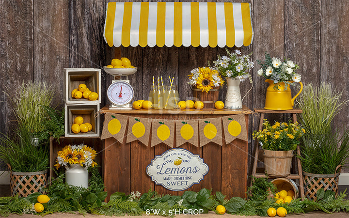 Lemonade Stand Set Up - HSD Photography Backdrops
