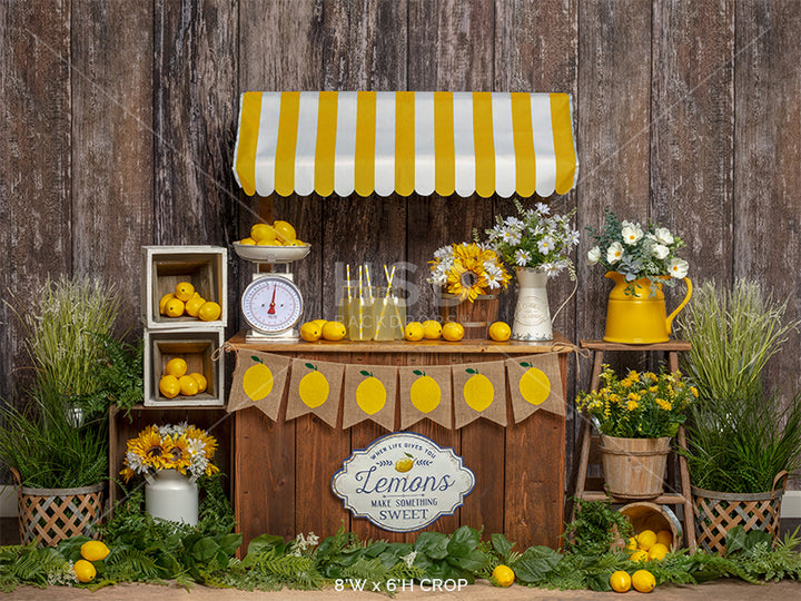 Lemonade Stand Set Up - HSD Photography Backdrops
