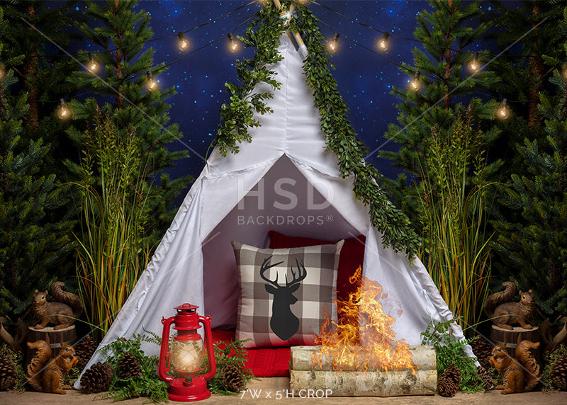 Camping Under the Stars - HSD Photography Backdrops