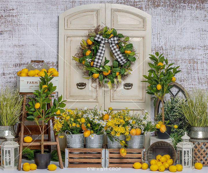 Fresh Lemons - HSD Photography Backdrops