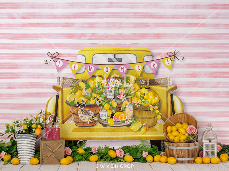 Pink Lemonade - HSD Photography Backdrops