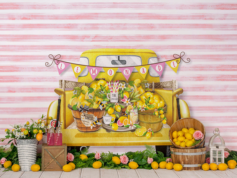 Pink Lemonade - HSD Photography Backdrops