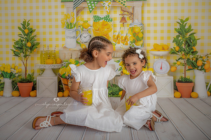 Hand Squeezed Lemonade - HSD Photography Backdrops
