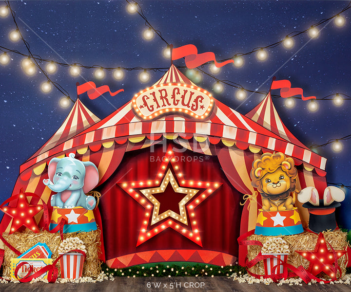 The Big Show - HSD Photography Backdrops