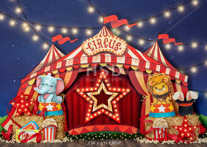 The Big Show - HSD Photography Backdrops