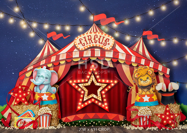 The Big Show - HSD Photography Backdrops