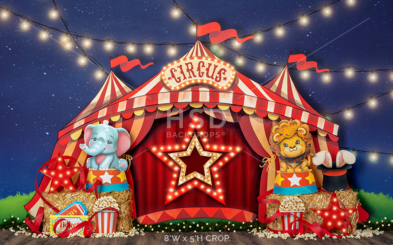 The Big Show - HSD Photography Backdrops