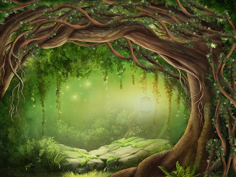 Enchanted Forest Enchanted Forest