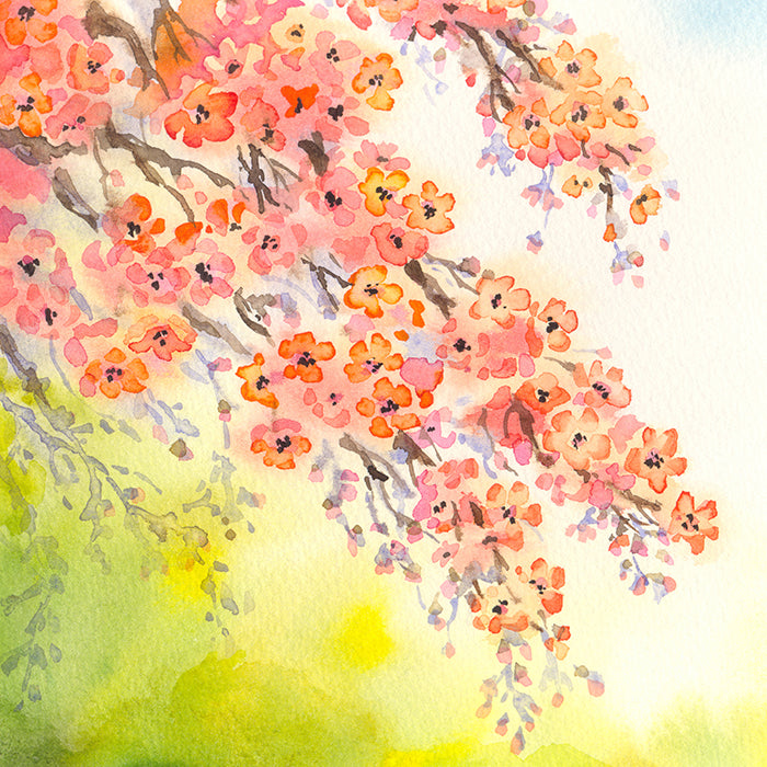 Spring Blossom Tree - HSD Photography Backdrops