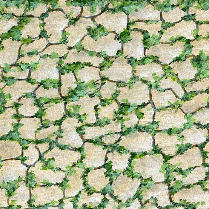 Garden Pathway in Spring - HSD Photography Backdrops