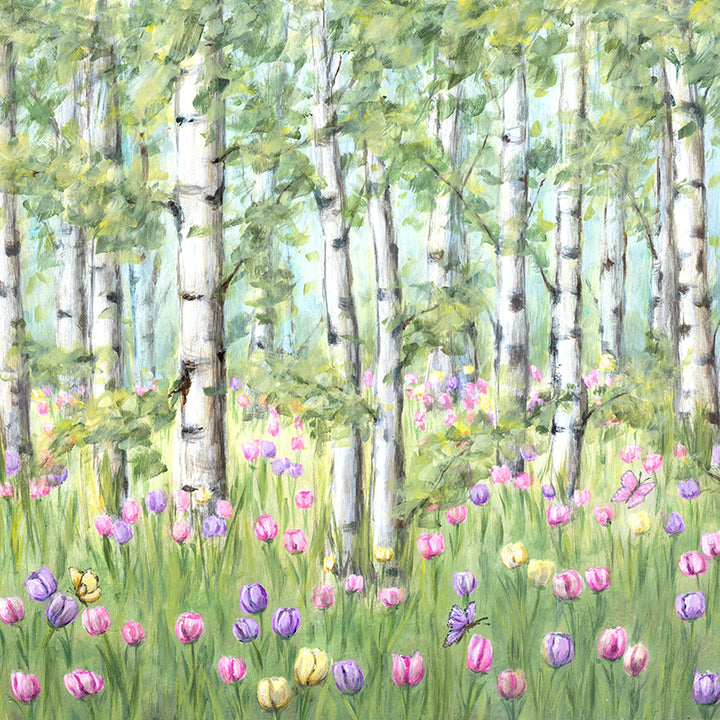 Spring Birch Trees - HSD Photography Backdrops