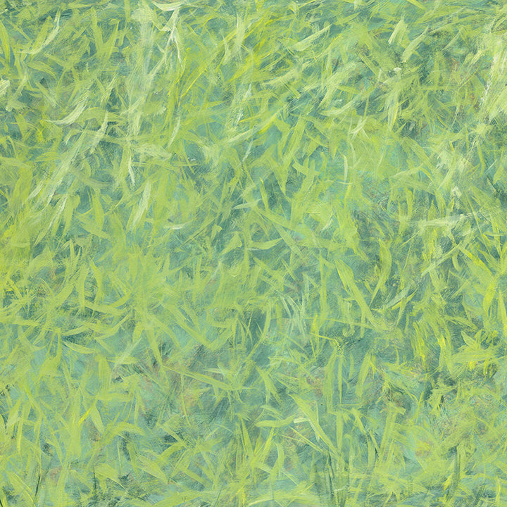 Where the Green Grass Grows - HSD Photography Backdrops