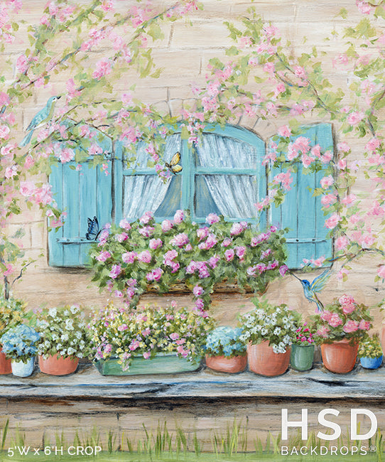 Spring Window - HSD Photography Backdrops