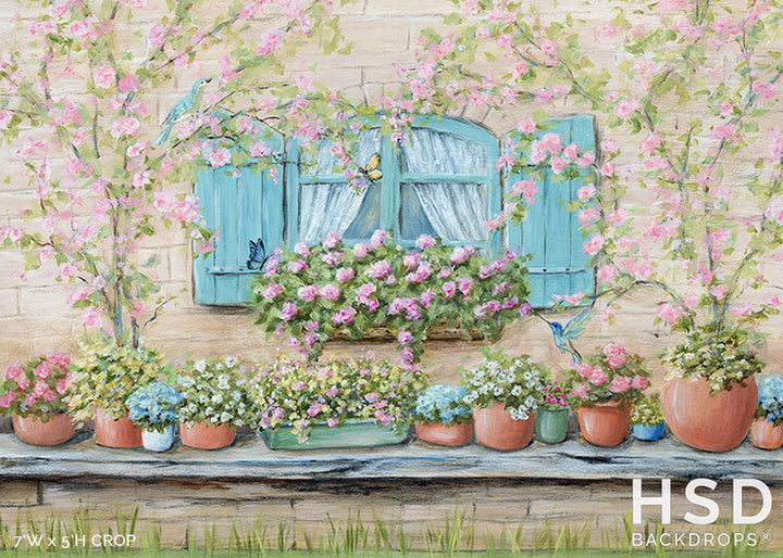 Spring Window - HSD Photography Backdrops