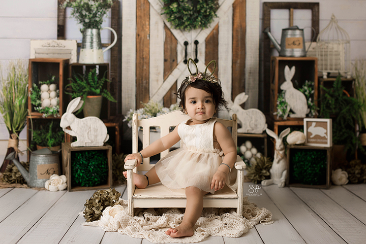 Bunny Scene - HSD Photography Backdrops