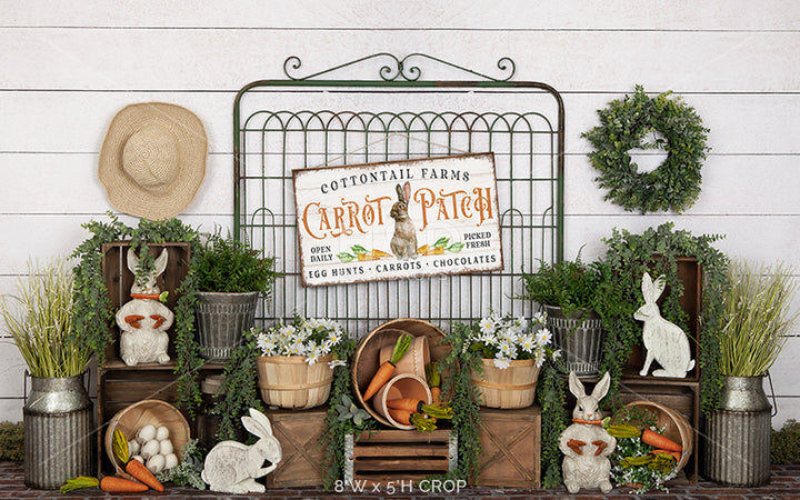 Cottontail's Carrot Patch - HSD Photography Backdrops