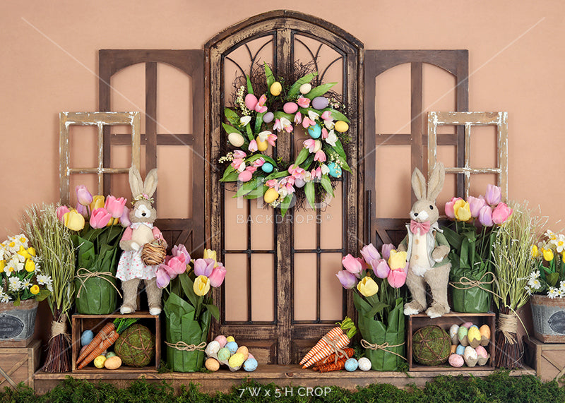 Time for Tulips - HSD Photography Backdrops