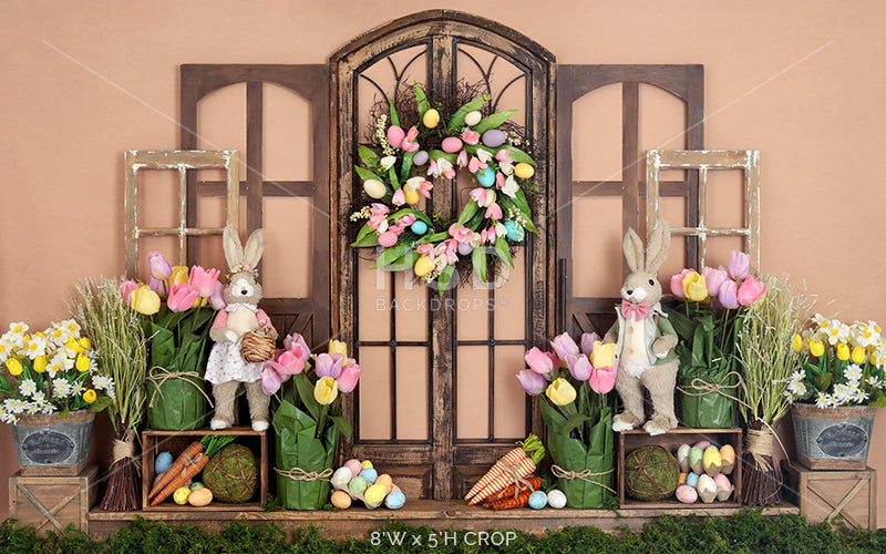 Time for Tulips - HSD Photography Backdrops