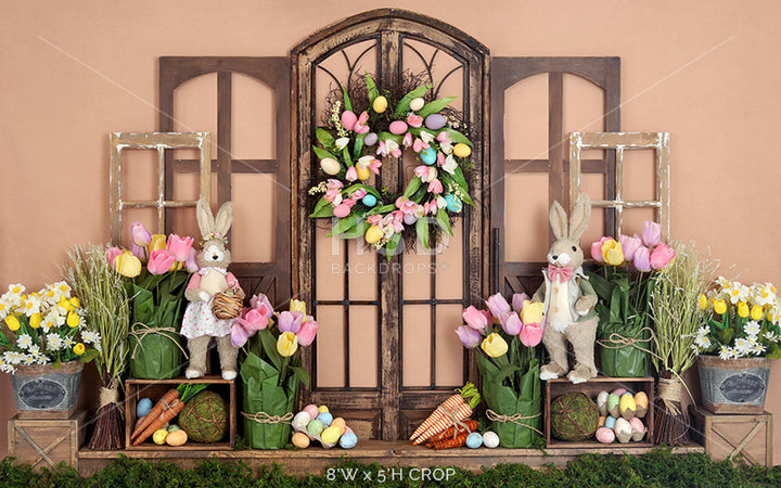 Time for Tulips - HSD Photography Backdrops